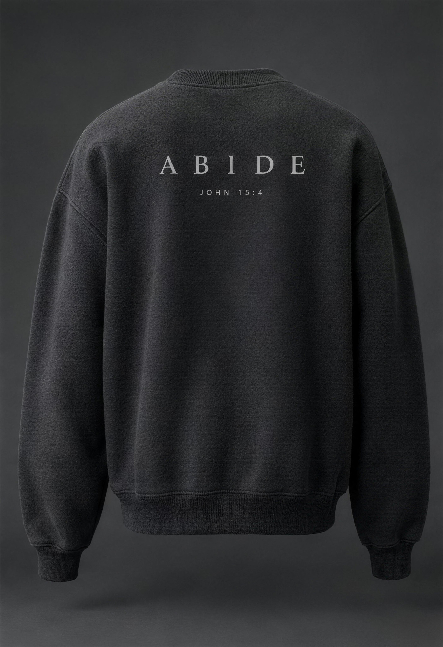 Abide Hoodie, back, with the ABIDE print